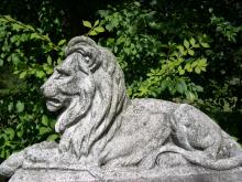 Concrete Lion Statuary